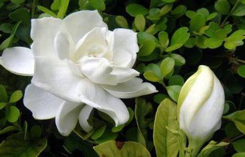 有关描写湖水的诗句