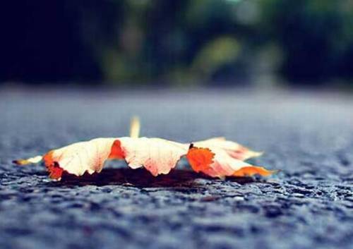 形容陈胜吴广的诗句