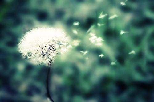 描写水滴筹的诗句