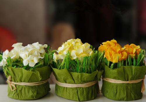 雨过山村古诗注音