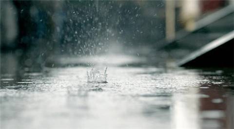 描述卑鄙小人的诗句