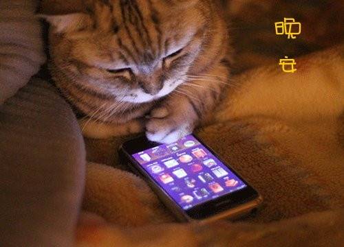 有关于动物的古诗