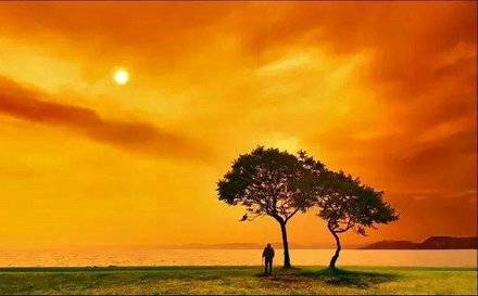 形容鸡和鱼的诗句