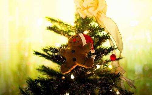 古诗草幼儿园教案