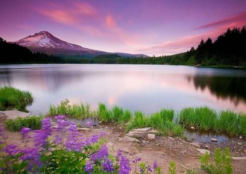 自信的外国诗句