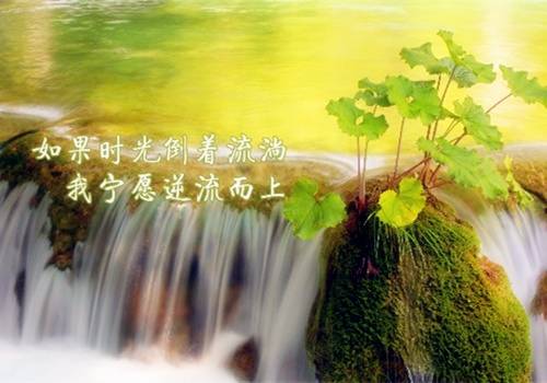 天长地久的诗句