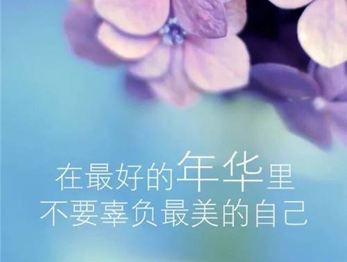 关于送别抒情诗句摘抄