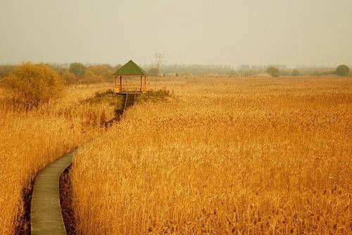 沈阳鸟岛导游词英语