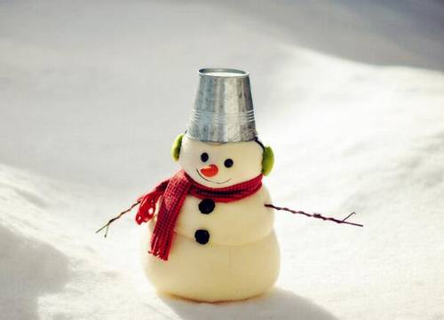 描写冬瓜的诗句