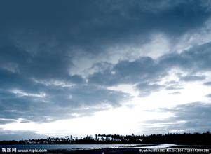 猫咪和臭豆腐的诗句