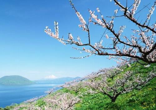 北京故宫导游词