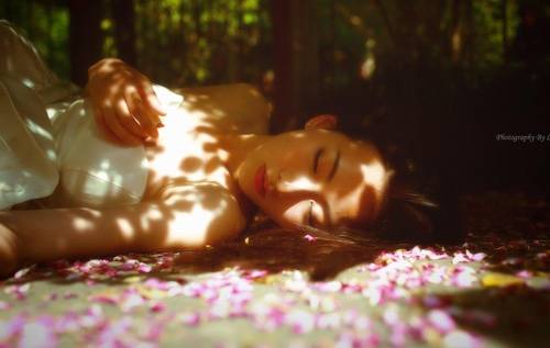 冬天的古诗及赏析