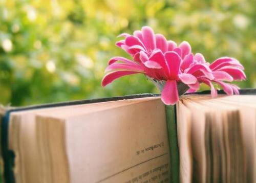 描写的诗句夏天