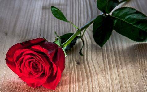 形容女孩子的诗句