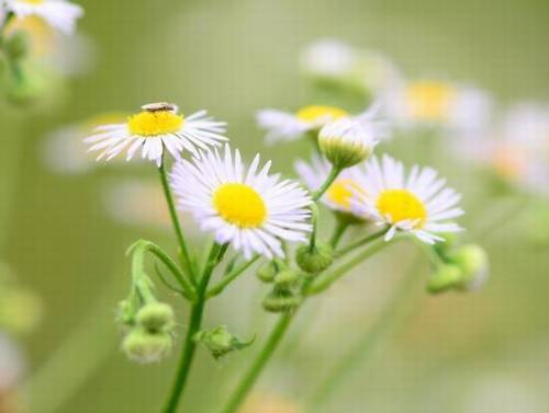 形容心情萧瑟的诗句