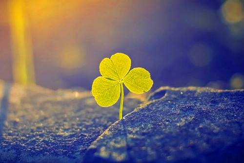 关于青雀台的诗句