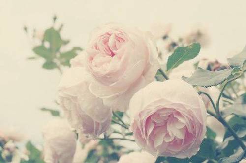 三下语文书的古诗