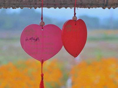 古诗词中的形象之美