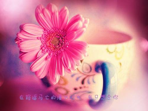 徐中行传古诗文网