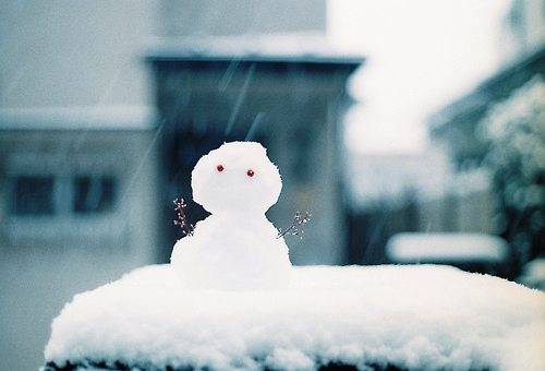 浙师大附小导游词