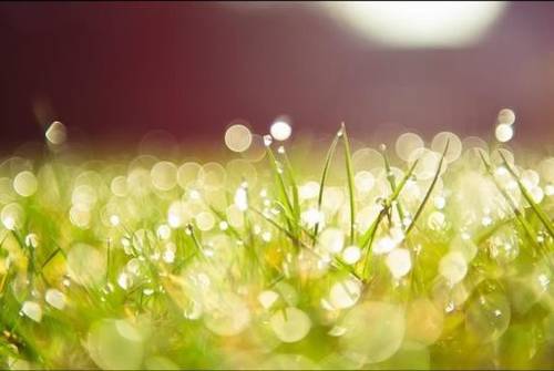 古代民间借钱的诗句