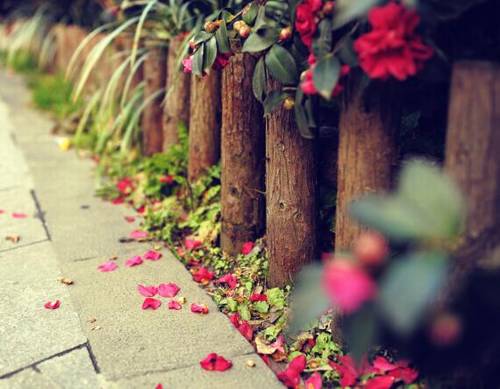 长发及腰的诗句表