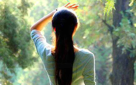 树叶古诗贴画锄禾