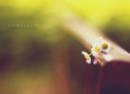 闲写唐诗的诗句