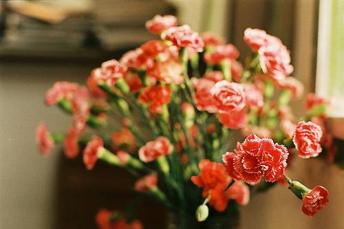 物哀对应的诗句