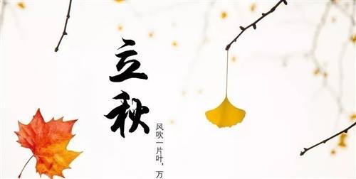 春耕至秋收的诗句