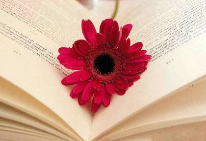 秋浦歌古诗解释