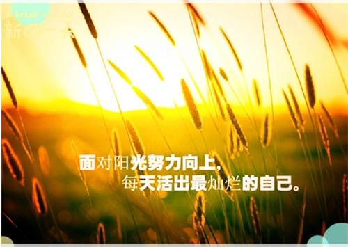 播放母亲和母爱的诗句