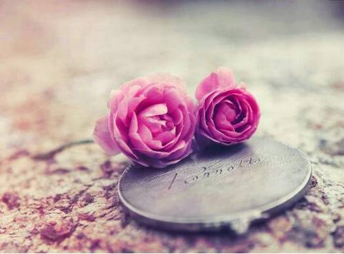 七律将相和的诗句