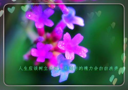 古诗词晴的词句