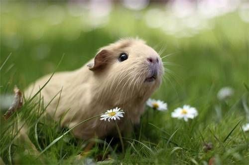 领导升职调走了的诗句