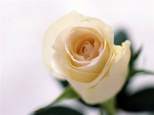 形容来得太晚了的诗句