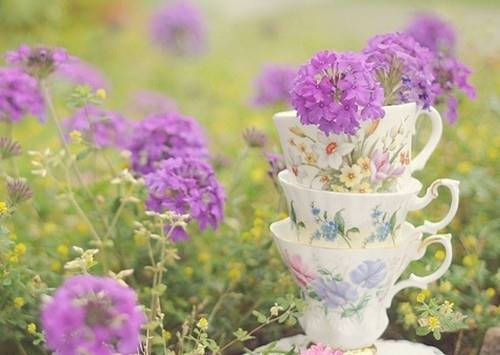 东岳泰山驰名中外诗句