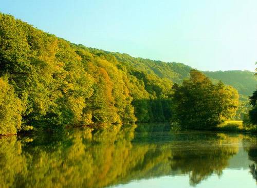 想说自己很烦的诗句