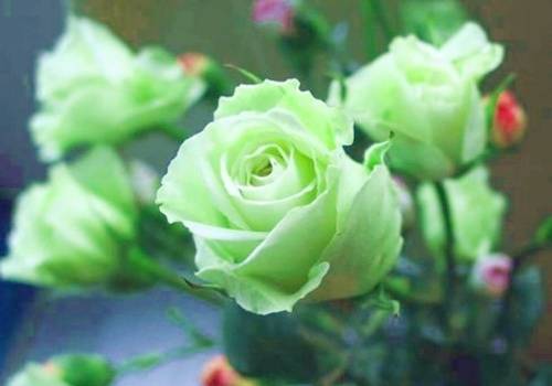 福建三明沿途导游词