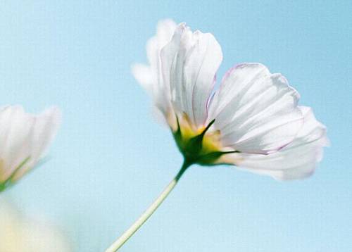 保持欢乐的诗句