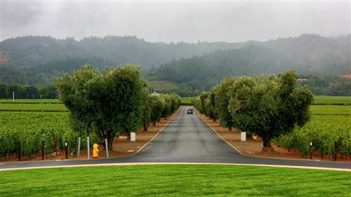 月亮与浪漫有关的诗句