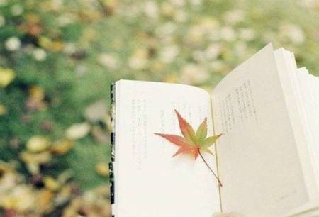 邯郸夜思家古诗配画