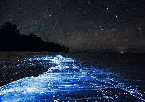 周敦颐的爱莲说诗句