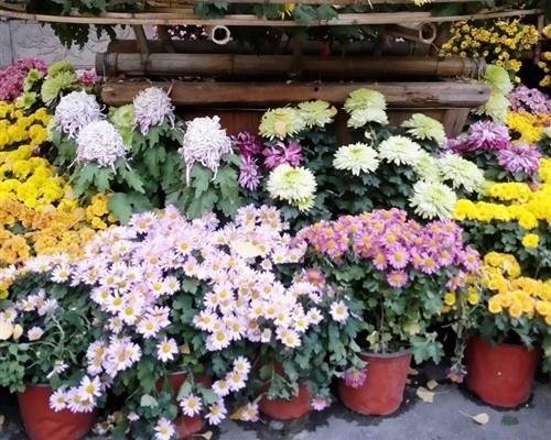 长开头的古诗词