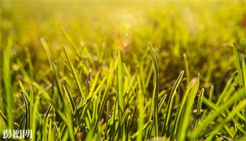 晚上好好休息的诗句