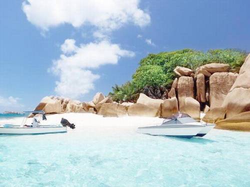 柑桔的古诗意思