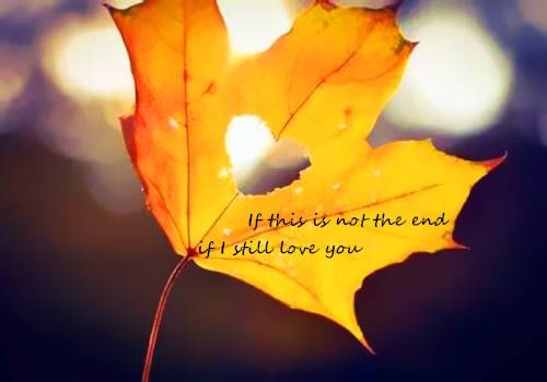 形容花谢了的伤感诗句