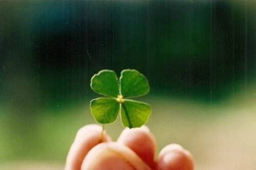 你现在在干嘛的诗句