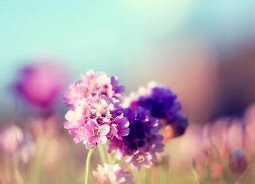 形容孤单骑马的诗句