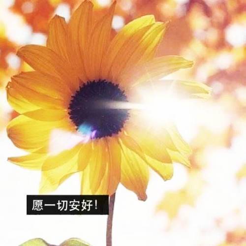 描写美男的诗句